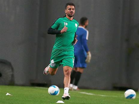 פדידה. שוב בחוץ (אלן שיבר)