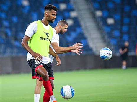 טאפוקו, חתול שחור בינו לבין סילבס והצוות המקצועי (מאור אלקסלסי)