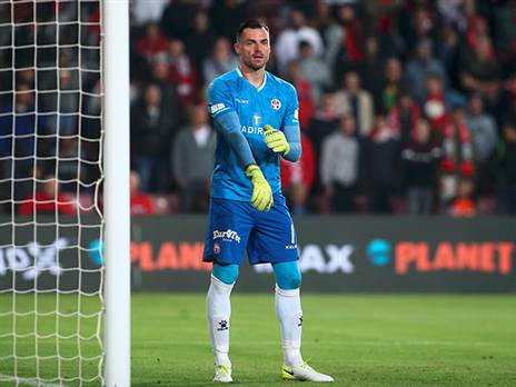 שטקוס יחזור לעמוד בין הקורות (אלן שיבר)