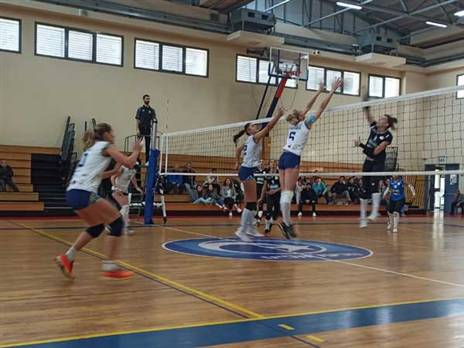 (צילום: מכבי אשדוד)