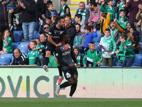 הקהל הצביע ברגליים (לירון מולדובן)