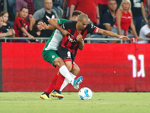 מחכים לחזור לדשא (אלן שיבר)