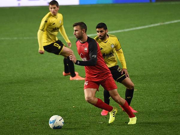 (ברני ארדוב)