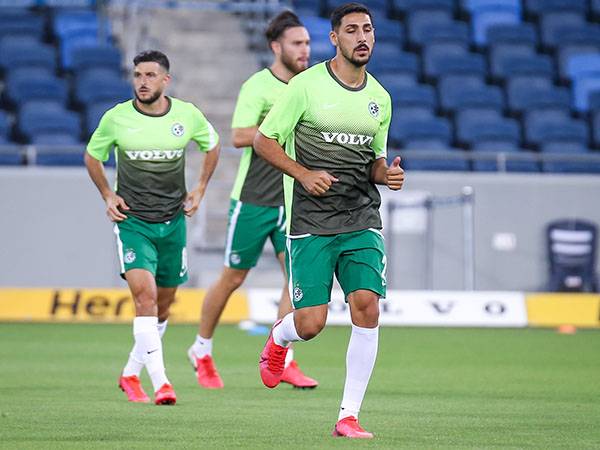 (מאור אלקסלסי)