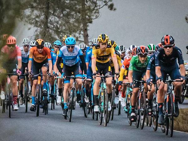 (צילום: נועה ארנון)