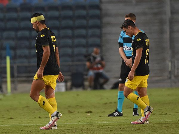 (ברני ארדוב)