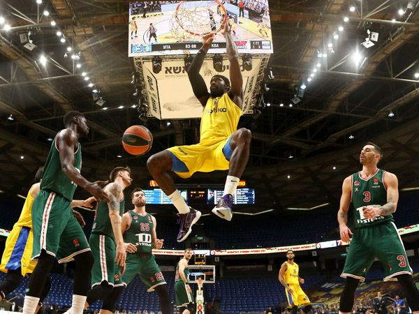 (צילום: אלן שיבר)