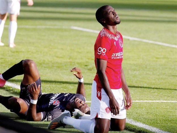 (צילום: אלן שיבר)