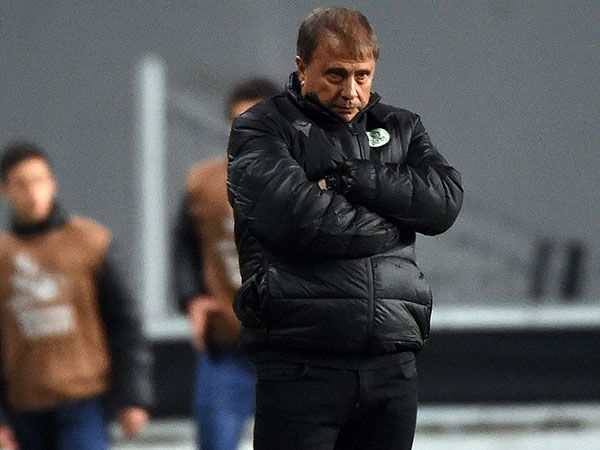 החיזוק יספיק להישארות בליגה? אלישע לוי (ברני ארדוב)