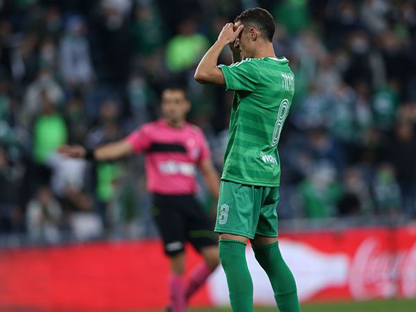 (צילום: מאור אלקסלסי)