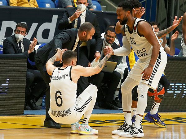 (צילום: אלן שיבר)