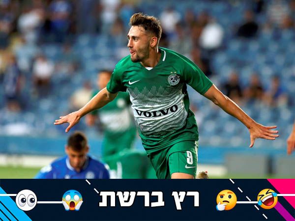 (אלן שיבר)