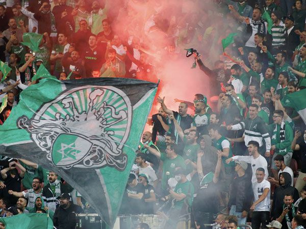 אוהדי מכבי חיפה. בקרוב בסמי עופר (אלן שיבר)