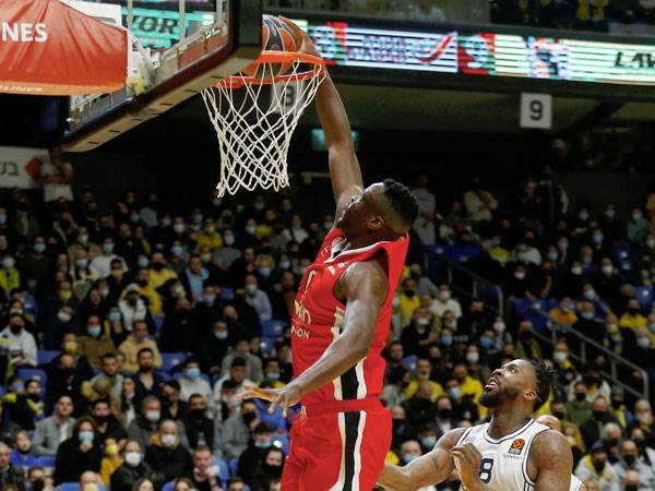 מוסטפה פאל. התקשה מול הקרואטי (אלן שיבר)