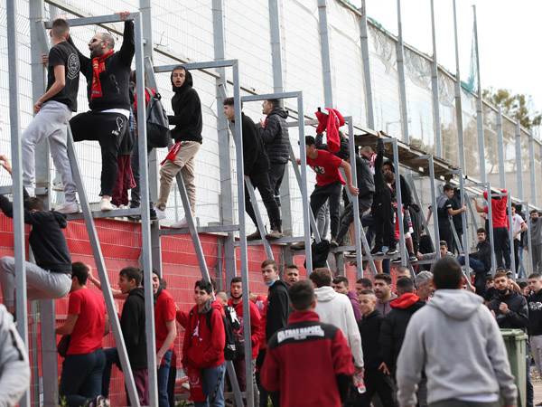 חלקם אף טיפס על הגדרות (אודי ציטיאט)