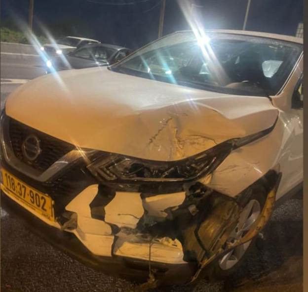 העיקר הבריאות. הרכב של משפחת קייזר