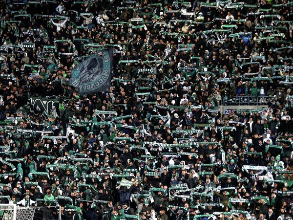 אוהדי חיפה. באו מרחוק (אלן שיבר)