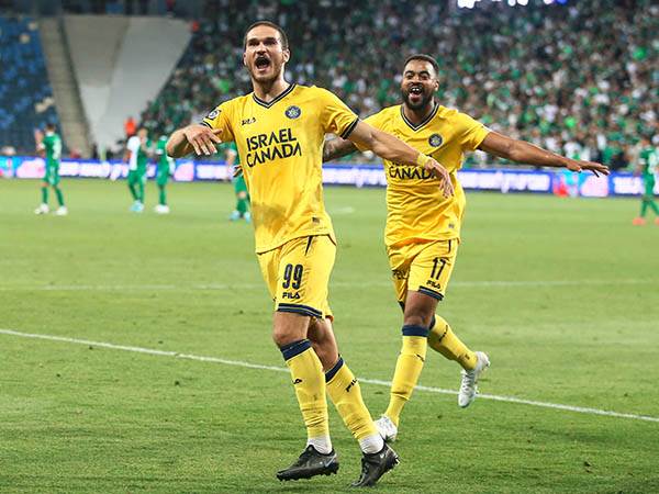 ניצחון עם טעם חמוץ (אלן שיבר)