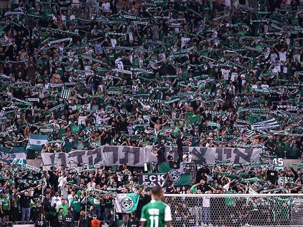 בירה תשמח לבב אנוש? אוהדי מכבי חיפה (צילום: מאור אלקסלסי)