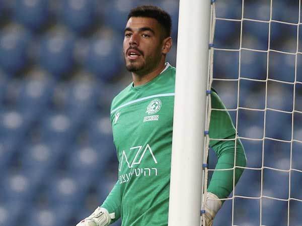 "שמח להישאר בבית". גינזבורג (אלן שיבר)