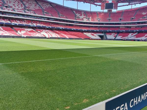 חיפה תצליח להשיג נקודות?