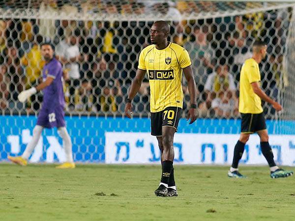 אופטימיים לקראת ההמשך (אלן שיבר)