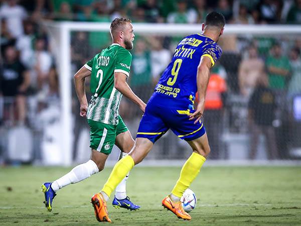 מהלך משמעותי (מאור אלקסלסי)