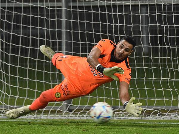 (ברני ארדוב)