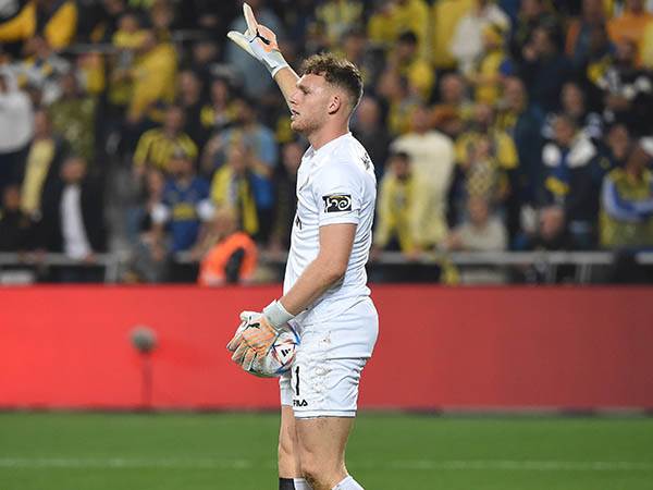 (ברני ארדוב)