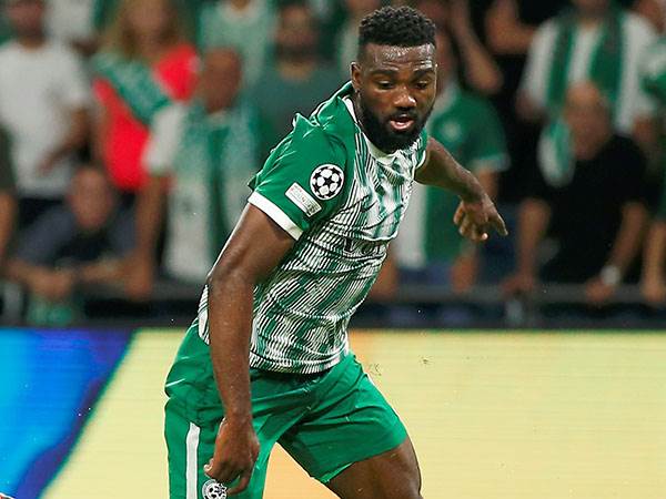 פיירו. רחוק משיאו (אלן שיבר)