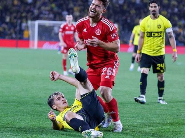 ניצל מאדום. ניקולסקו (אלן שיבר)