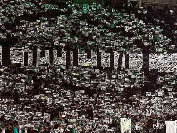 מעל 600 אלף איש ביציעים העונה. אוהדי מכבי חיפה (צילום: אלן שיבר)