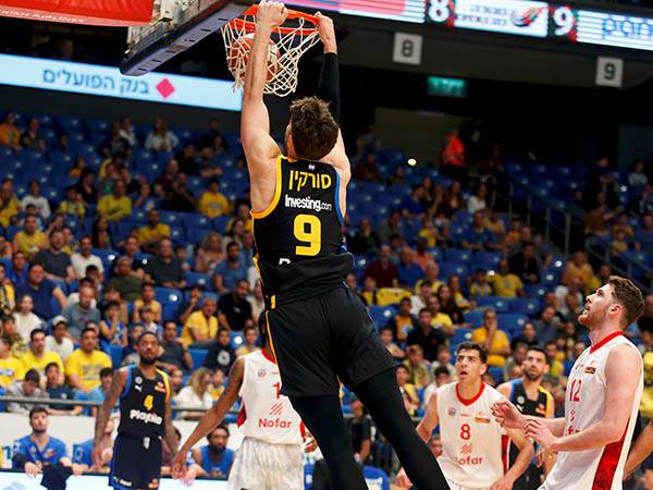 נתונים חריגים (אלן שיבר)