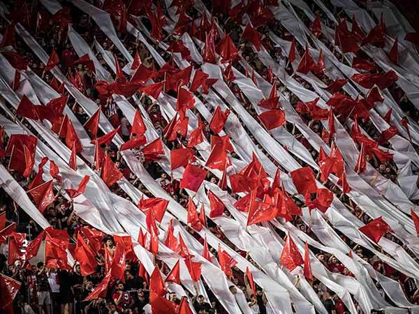 "האוהדים הם הדבר הכי גדול שהסתכלתי עליו" (אלן שיבר)