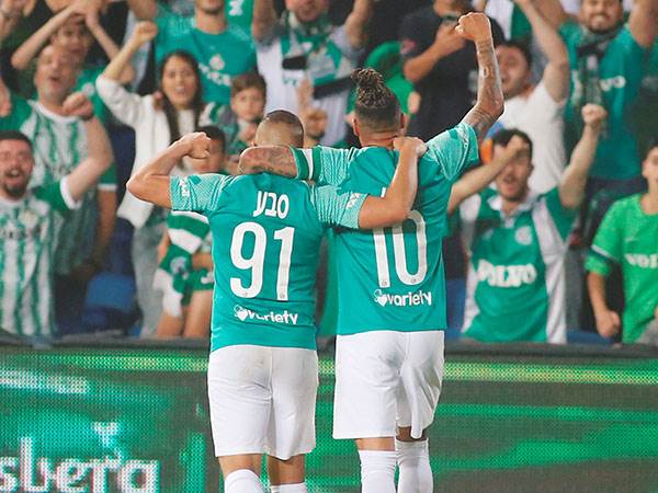 תנו להם לרוץ (אלן שיבר)