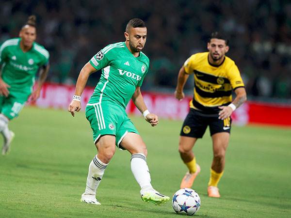 (צילום: אלן שיבר)