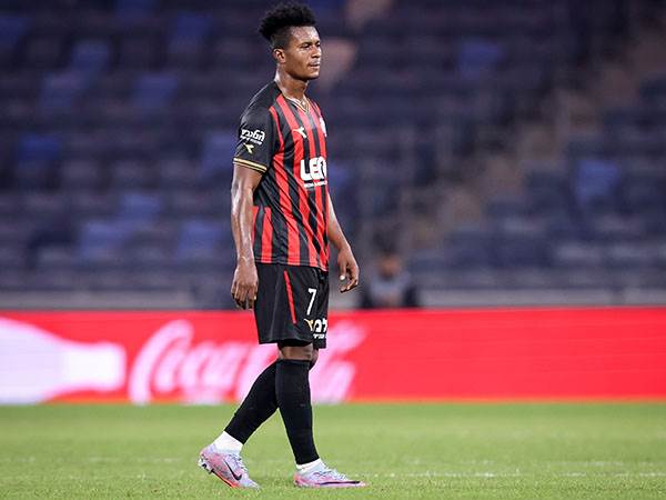 (מאור אלקסלסי)