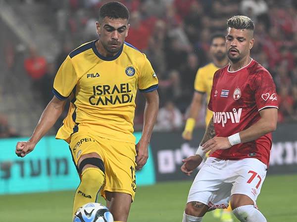 (ברני ארדוב)