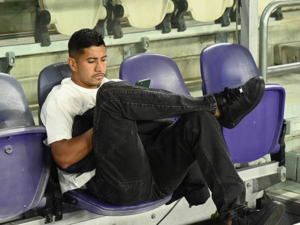 (צילום: ברני הר דב)