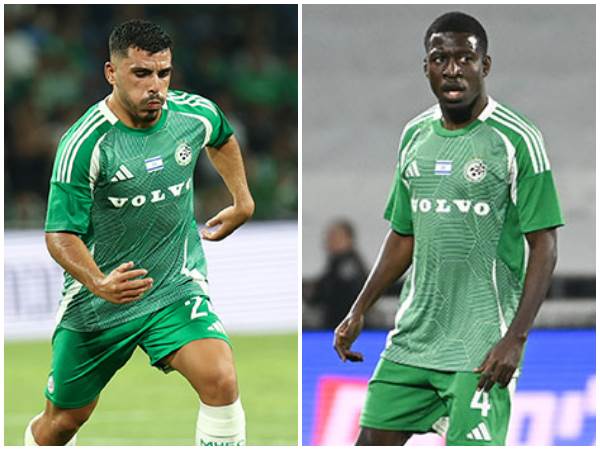 (ברני ארדוב)