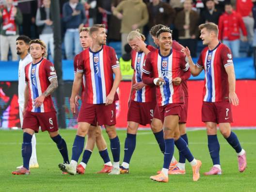 (אודי ציטיאט)