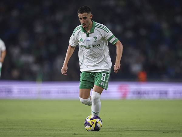 (מאור אלקסלסי)