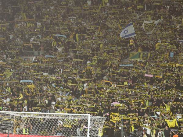 (צילום: אלן שיבר)