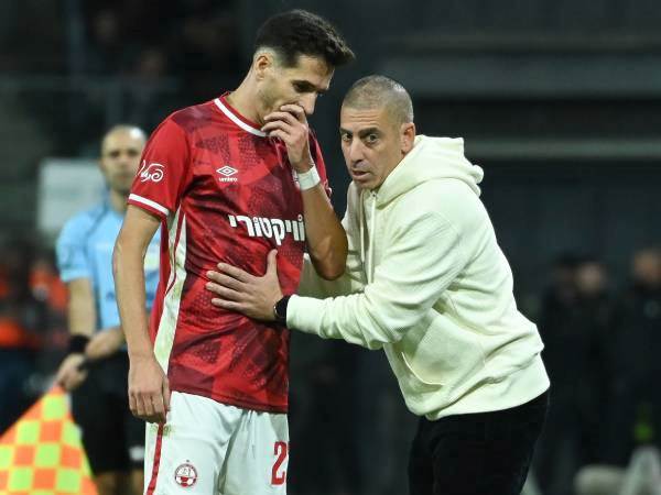 (ברני ארדוב)