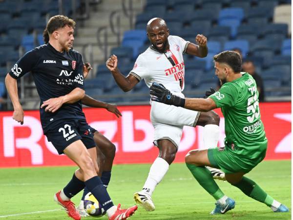 (ברני ארדוב)