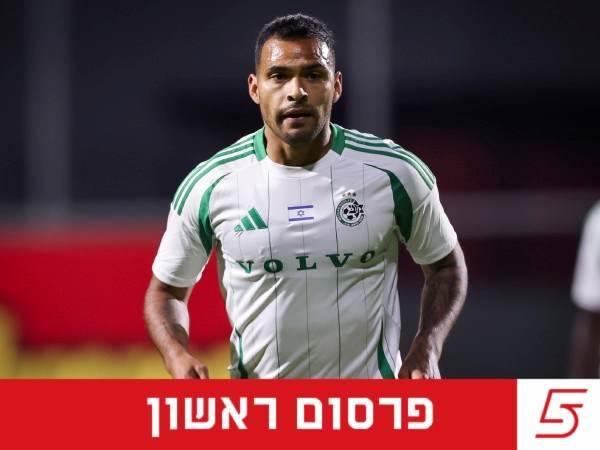 (מאור אלקסלסי)