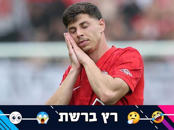 (צילום: אלן שיבר)