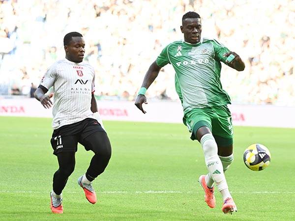 (ברני ארדוב)