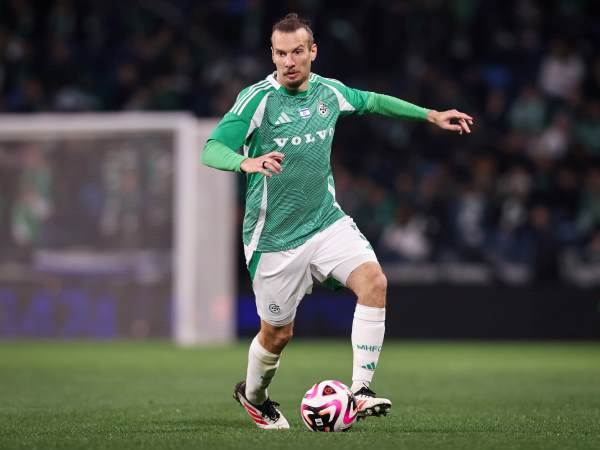 (מאור אלקסלסי)