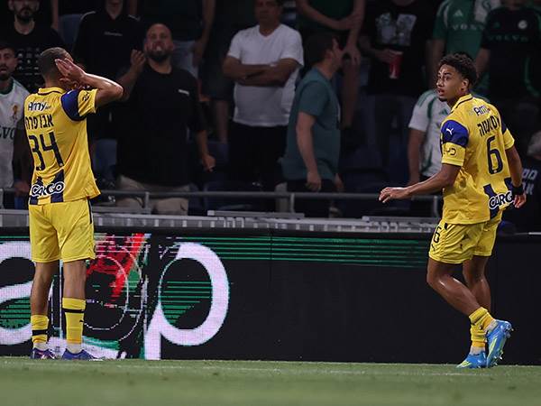 (מאור אלקסלסי)